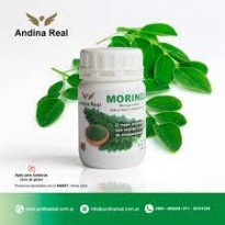 ANDINA REAL MORINGA