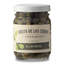 CRISTO DE LOS CERROS ALCAPARRAS