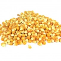 MAIZ PISINGALLO 500G