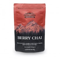 PATAGONIA DOYPACK BERRY CHAI