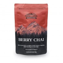 PATAGONIA BERRY CHAI DOYPACK