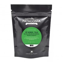 PATAGONIA TILO VERDE MELISA DOYPACK