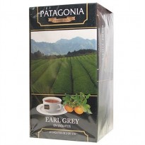 PATAGONIA EARL GREY