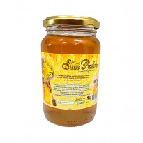 SAN PEDRO MIEL VIDRIO 470G